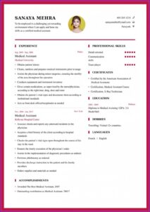 Free Resume Format Builder