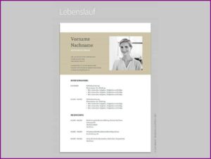 Free Resume Templates 2019 Google Docs