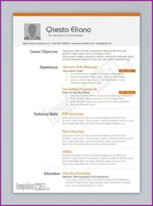 Free Resume Templates For Ms Word 2007