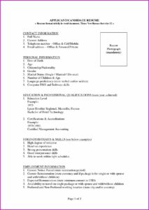 Free Sample Resume Word Format