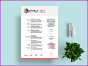 Free Template Resume Indesign