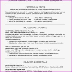 Freelance Writer Resume Example