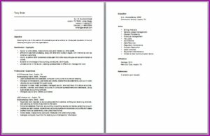 Freelance Writers Resume Sample