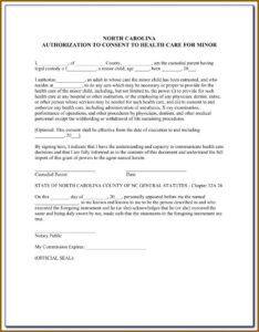 Guardianship Forms Nj