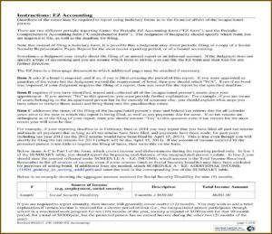 Guardianship Reporting Forms Nj