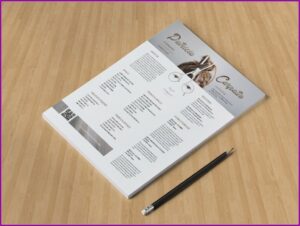 Hair Stylist Resume Template Free