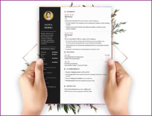 Highest Rated Resume Builder