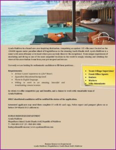 Housekeeping Cv Template