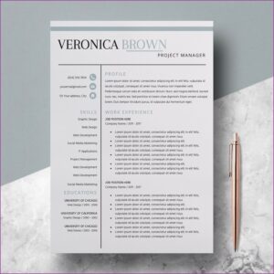 Instant Resume Templates