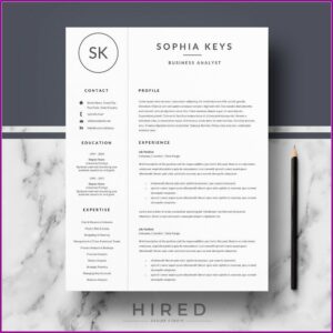 Instant Resume Templates Download