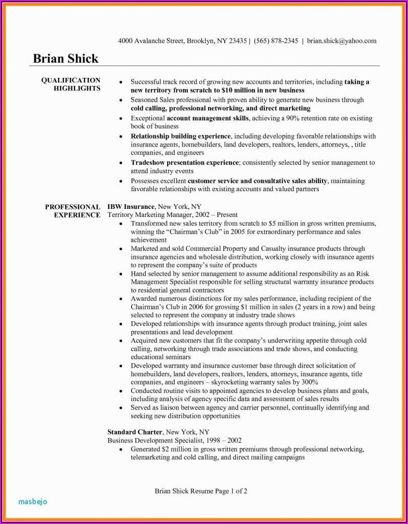 Insurance Claims Adjuster Resume Templates