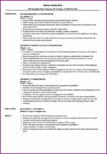 Insurance Underwriter Resume Template