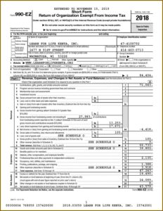 Irs Form 990 Ez 2018