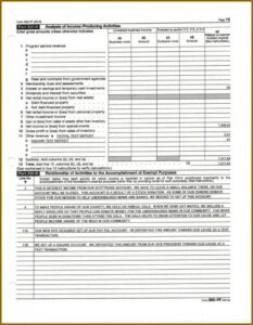 Irs Form 990 Ez Instructions