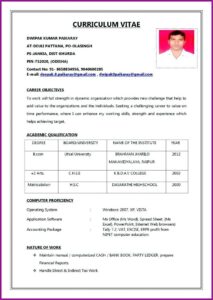 Job Resume Pdf File Download Free