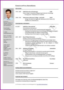 Job Resume Template Word Download