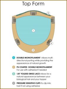 Jon Renau Top Form 6 8