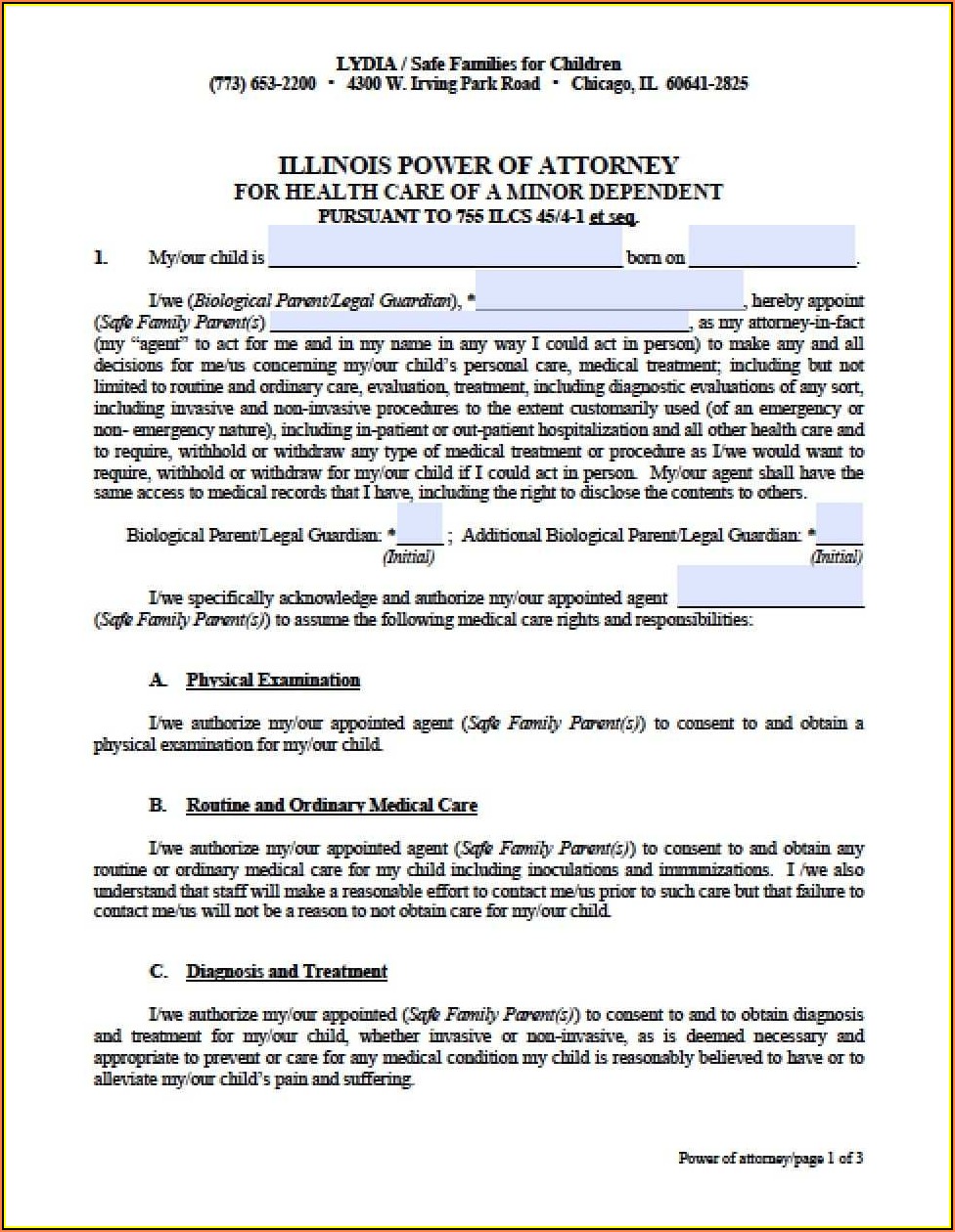 Living Will And Power Of Attorney Forms Illinois