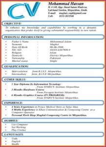 Mba Resume Format Pdf Download Free