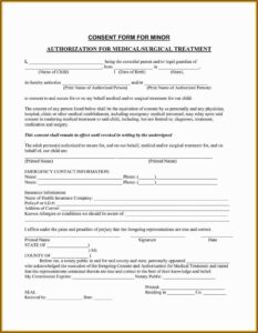 Medical Consent Form For Grandparents Template