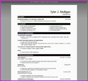 Microsoft Office Cv Templates Free Download