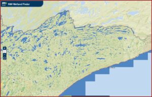 Minnesota Dnr Lake Maps App