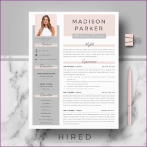 Modern Professional Cv Template