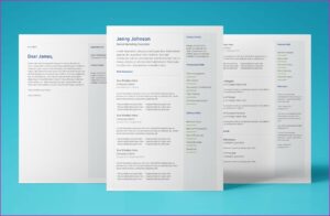 Modern Professional Cv Template Free Download