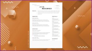 Modern Professional Resume Template Free