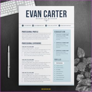 Modern Professional Resume Templates Free