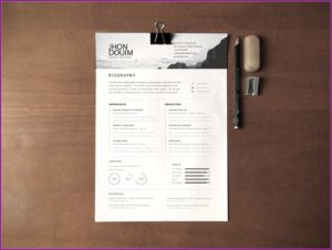 Monster Professional Resume Writing Service