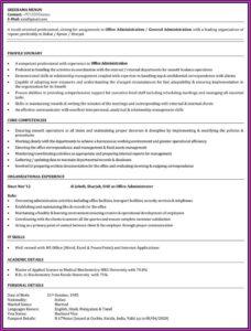 Naukri Resume Writing Services