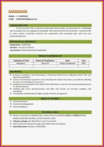 New Resume Format For Freshers