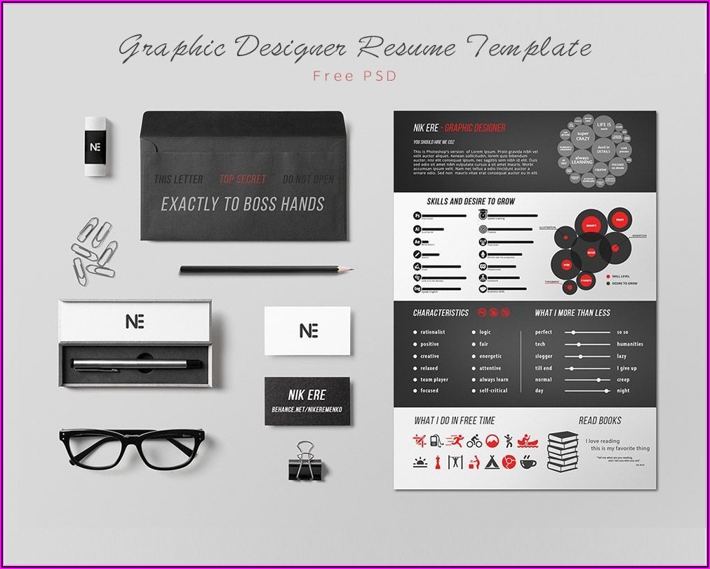 Nice Resume Template Free Download