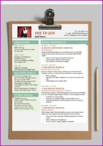 Nurses Resume Template Free Download