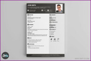 Online Creative Cv Builder