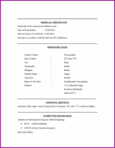 Online Resume Creator Free Download
