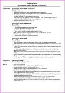 Php Programmer Cv Example