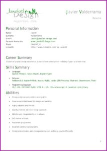 Php Programmer Cv Template