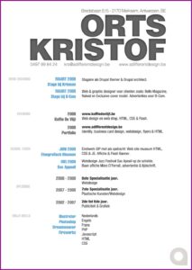 Php Programmer Resume Sample