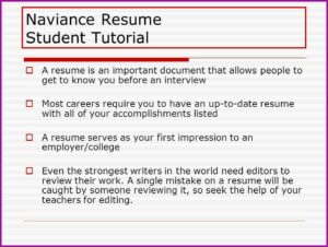 Plain Text Resume Builder