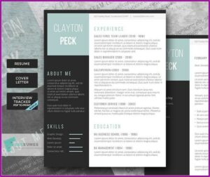 Premium Resume Templates