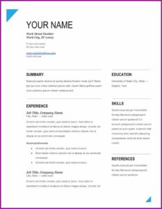 Printable Cv Format