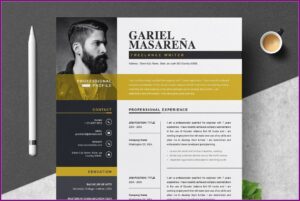 Professional Creative Cv Templates