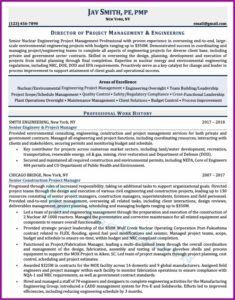 Professional Cv Companies