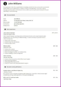 Professional Cv Companies Uk