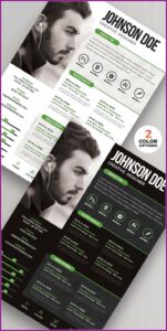 Professional Cv Design Templates Free Download