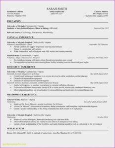 Professional Cv For Accountant