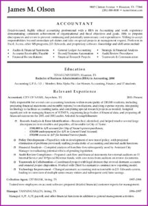 Professional Cv For Accountants
