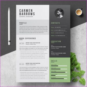 Professional Resume Design Templates